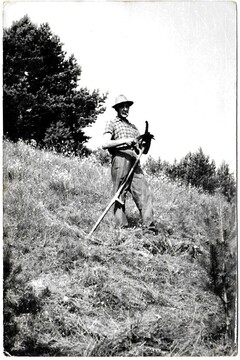 Ivan Mrhar pri košnji